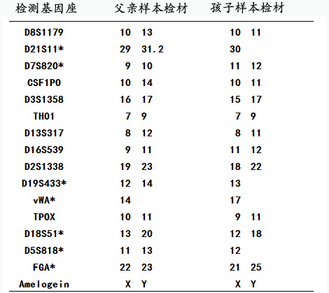 亲子鉴定21位点对照图图片